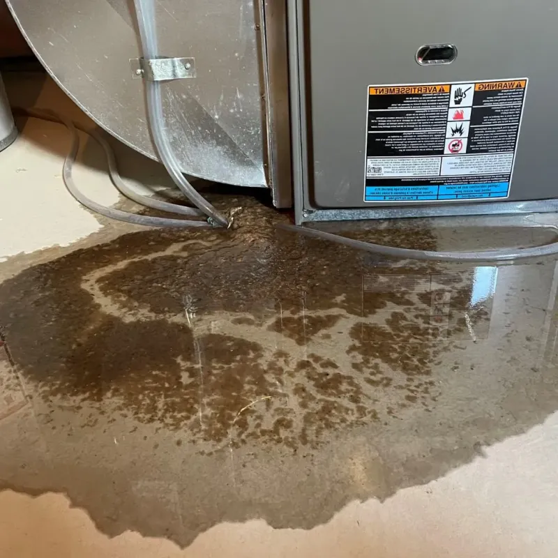 Pipe Burst and Leak Restoration in Lewiston, ME