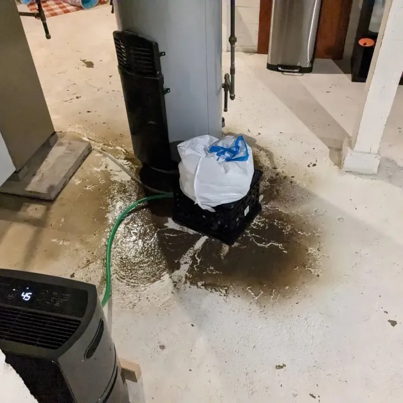 Sewage Backup Cleanup Service in Lewiston, ME